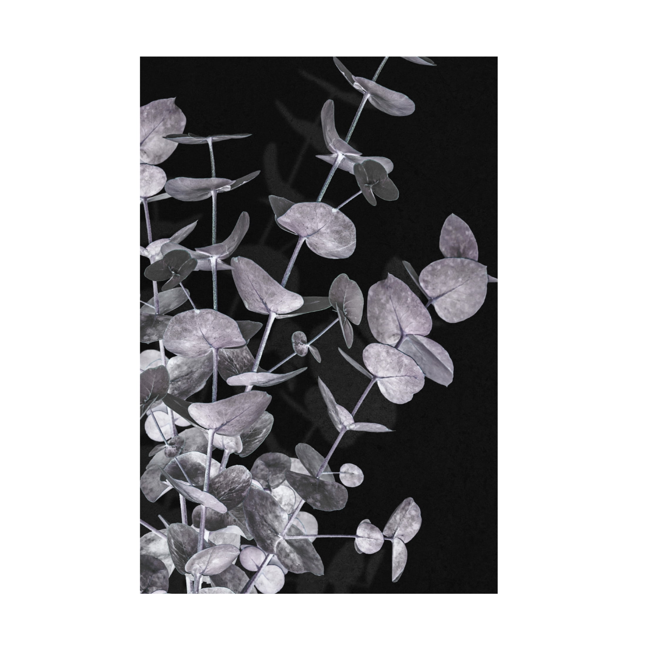 Pictufy Studio III 'Eucalyptus Negative 3' Canvas Art - 16 x 24 Inches