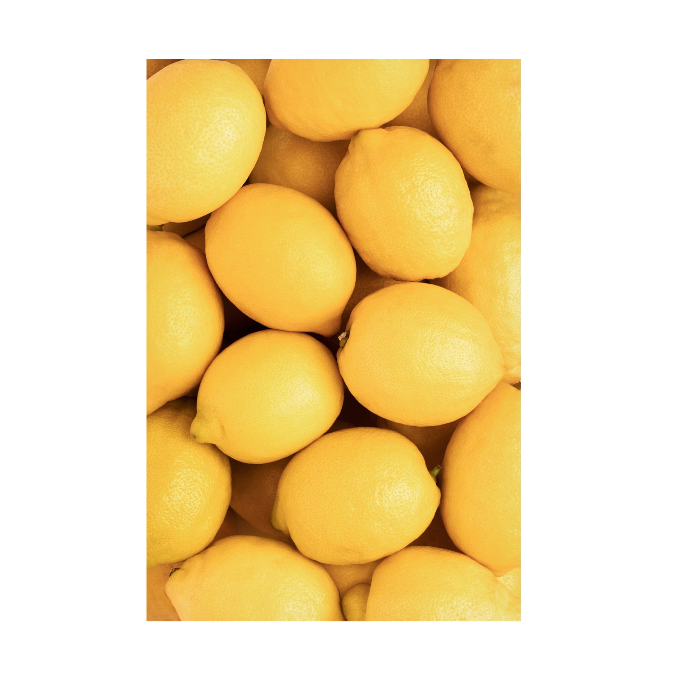Pictufy Studio III 'Lemons 3' Canvas Art - 22 x 32 Inches
