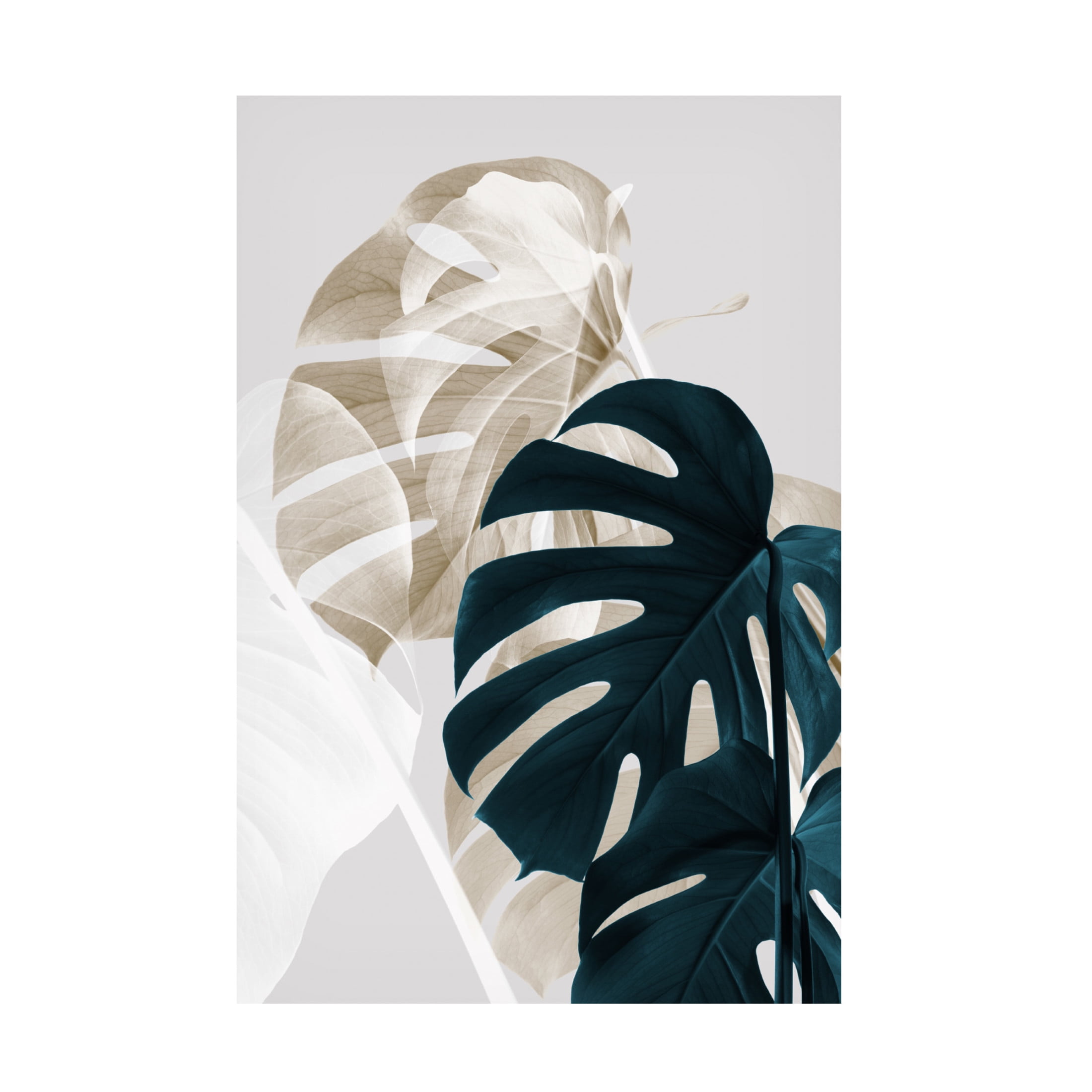 Pictufy Studio III 'Monstera Creative 5' Canvas Art - 22 x 32 Inches