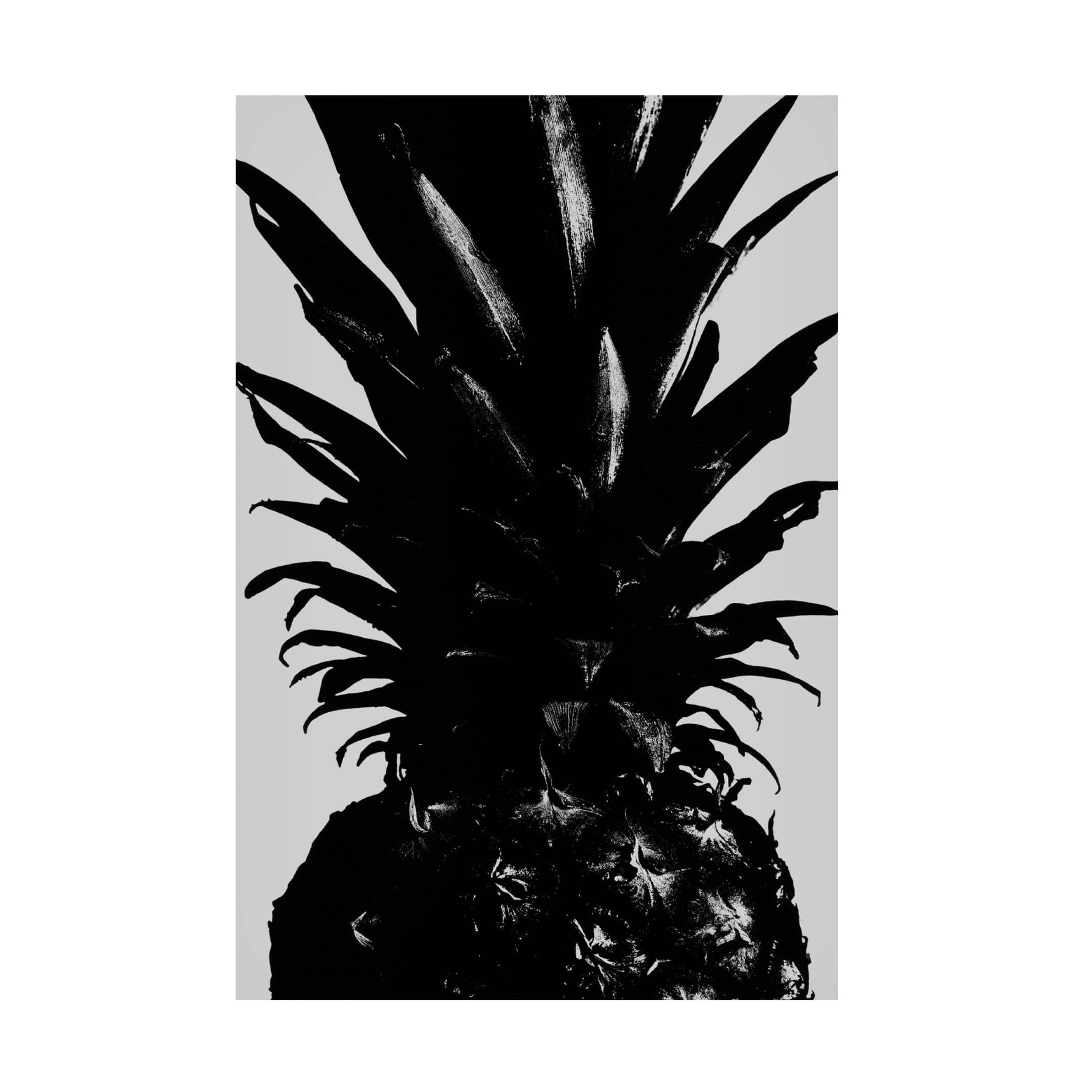 Pictufy Studio III 'Pineapple BW' Canvas Art - 30 x 47 Inches