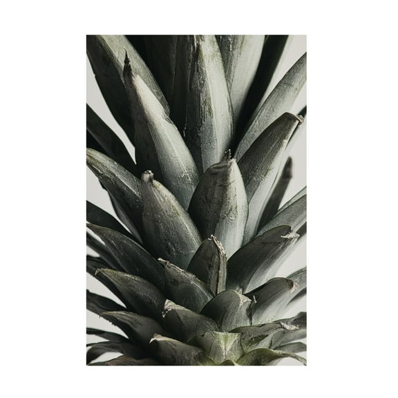 Pictufy Studio III 'Pineapple Close Up' Canvas Art - 16 x 24 Inches