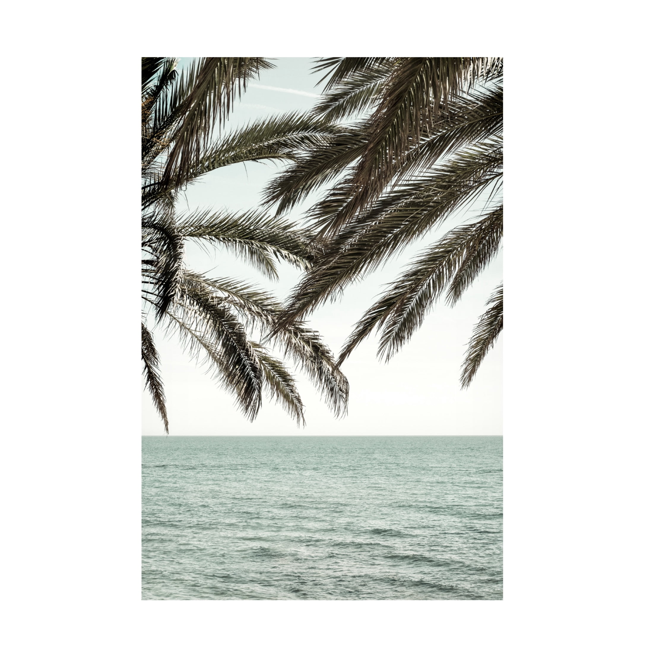 Pictufy Studio III 'Solaris 4' Canvas Art - 12 x 19 Inches