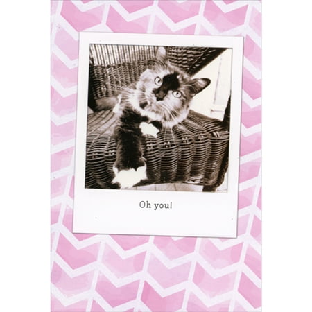 Pictura Cat Sitting in Wicker Chair in Instant Camera Photo Frame Birthday Card