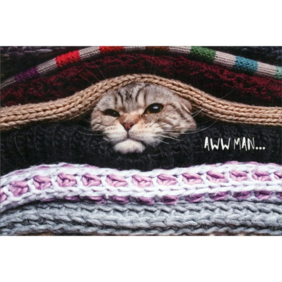 Pictura Cat Stuck Between Blankets Cute / Funny Get Well Card