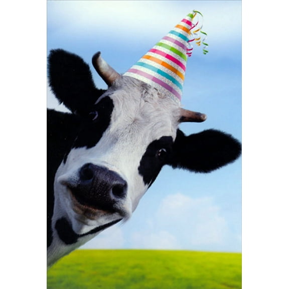Pictura Cow Wearing Sparkling Striped Party Hat Humorous / Funny Birthday Card