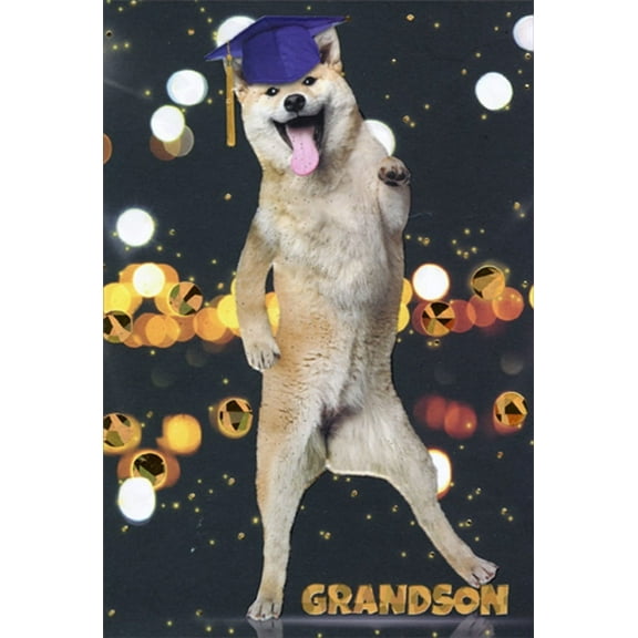 Pictura Dancing Pup Wearing Blue Mortarboard Cap Graduation Congratulations Card for Grandson
