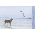 thumbnail image 1 of Pictura Dog and Seagull On Beach Signature Gallery Sympathy Card, 1 of 2