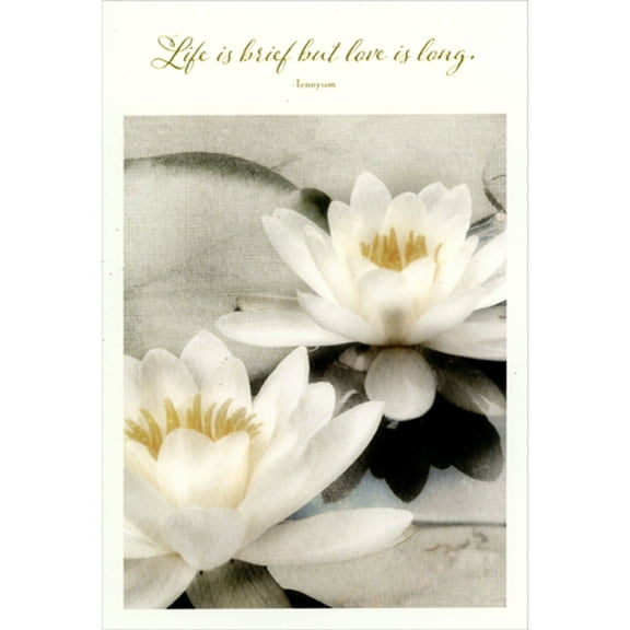 Pictura Life is Brief But Love is Long: Two White Lilies Floating in Water Sympathy Card