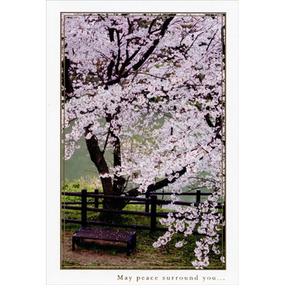 Pictura Sakura Bench and Cherry Blossom Tree Snapshot Sympathy Card