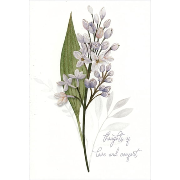 Pictura Thoughts of Love and Comfort: Small White Flowers and Single Green Leave Sympathy Card