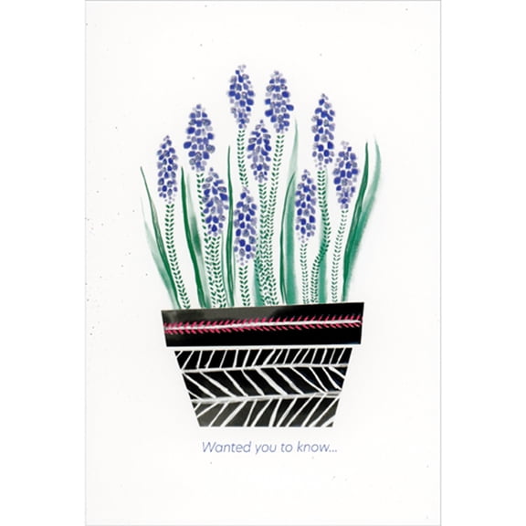 Pictura Wanted You to Know: Purple Hyacinths in Black Tiled Planter Thinking of You Card