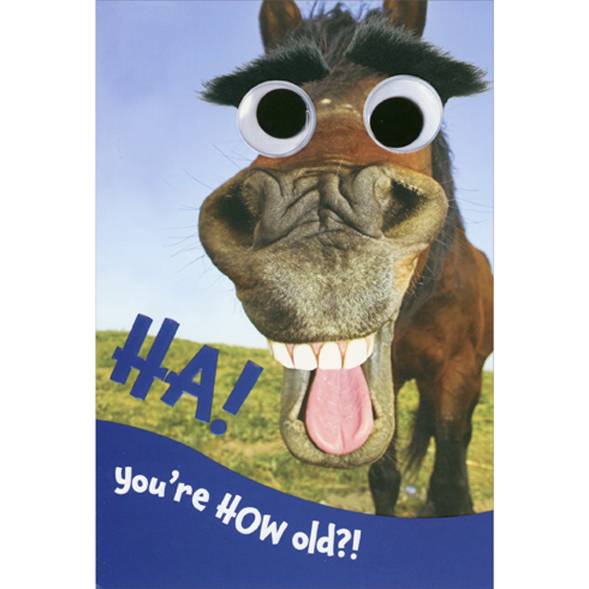 Hold Old??? Birthday Card Hold Old??? Birthday Card