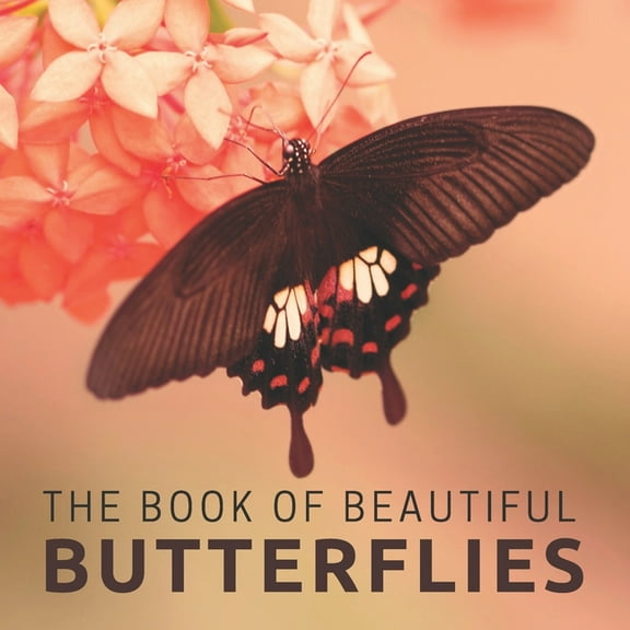 Picture & Activity Books for Seniors The Book Of Beautiful Butterflies, Book 1, (Paperback)