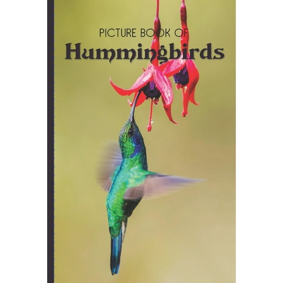 Picture Book Of Hummingbirds: Large Print Book For Seniors with Dementia or Alzheimer's (Paperback)(Large Print)
