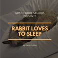 thumbnail image 1 of Picture Books Rabbit Loves to Sleep, Book 4, (Paperback), 1 of 1