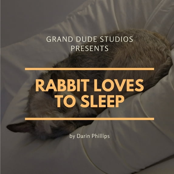 Picture Books Rabbit Loves to Sleep, Book 4, (Paperback)