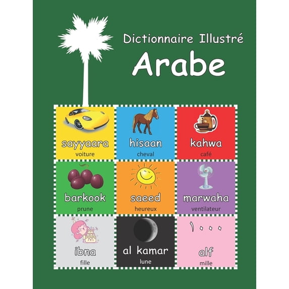 Picture Dictionaries: With Audio: Dictionnaire Illustré Arabe : avec audio (Paperback)