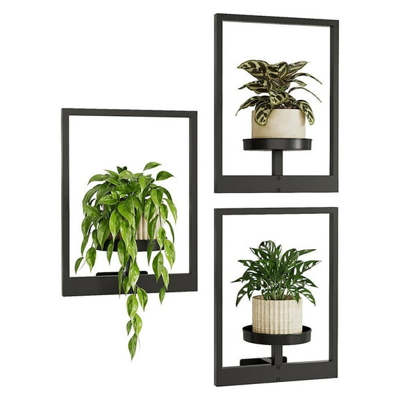 Picture Frame Plant Vase - Picture Frame Wall Plant Holder, Window Plant Shelves, Plant Frames For Wall, Metal Plant Wall Frame, Modern Style For Home Decor Display Stand For Living Room Balcony