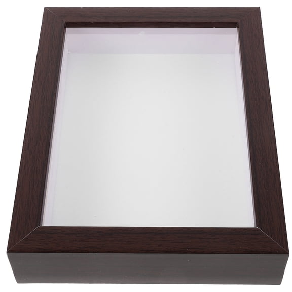 Picture Frames Decor Livingroom Specimen Display In-sect Case Household Desktop Decoration DIY Hollow Decorations