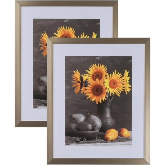 Picture Frames Set of 2. 1-1/8" Polystyrene Modern Pewter Silver 25x30 Wholesaleartsframes-com 313-VI Series Made in USA