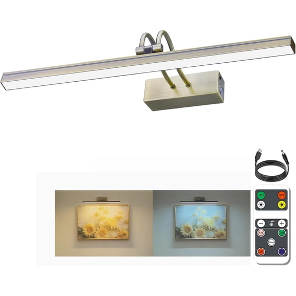 Picture Light, 2 Colors Wall Lights for Pictures Frame, 5000mAh Rechargeable  Art Lighting for Paintings, Dimming Timing Gallery Artwork Light (Antique Brass)