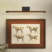 Picture Light 27.5" Wood Picture Lights for Wall Hardwired Gold Picture Frame Light Dimmable Art Gallery Light Accent Lighting Bathroom Wall Sconce for Artwork Poster Portrait Library Display 5CCT