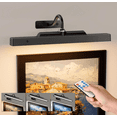 Picture Light for Wall, 12