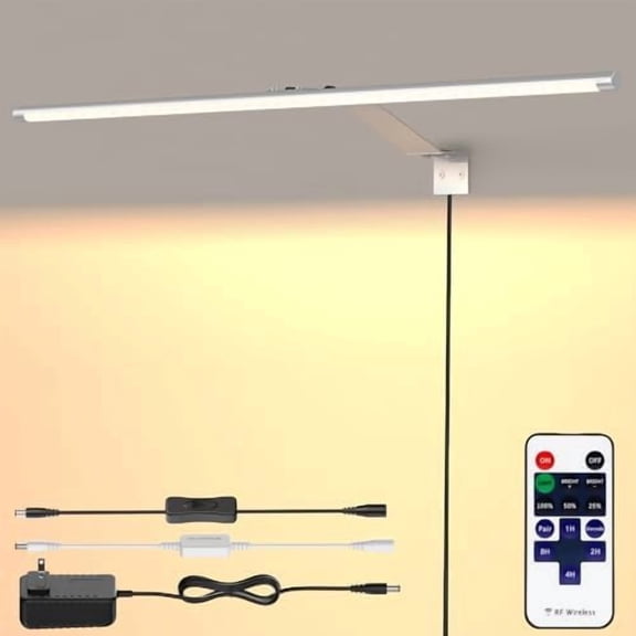 Picture Light for Wall Plug in 24inch, Dimmable LED Art Photo Light with Remote, 3000K Warm White Wall Lights with On/Off Switch Display for Picture, Gallery, Painting, Frame (Silver)