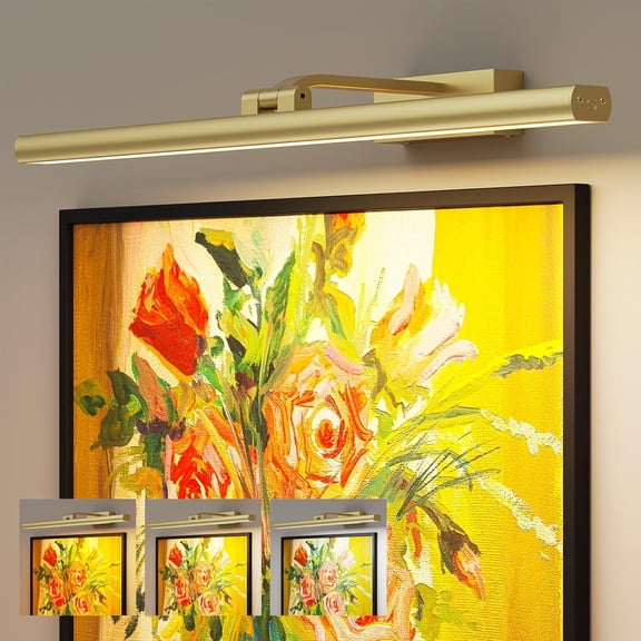 Picture Light for Wall, Battery Operated Rechargeable CCT Rotatable Art Gallery Light with Remote, Dimmable Timer for Artwork Frame Display Dartboard