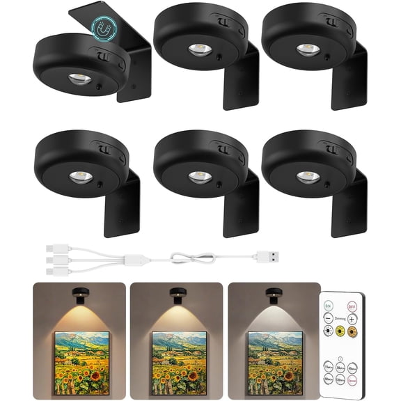 Picture Lights for Wall, 2200mah  Wall Lights with Remote,  Poster Lights with 3 Colors, Dimmable Timer Painting Lights for Wall, Picture Frame (6 )