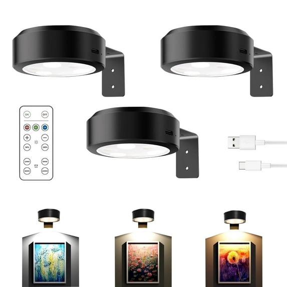 Picture Lights for Wall, Wireless Magnetic Art LED Lamp Rechargeable (Black)