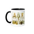 thumbnail image 1 of 3dRose, Picture Of 1800 Drawing Of Famous Biologist Squids, 15oz Two-Tone Black Mug, 1 of 7