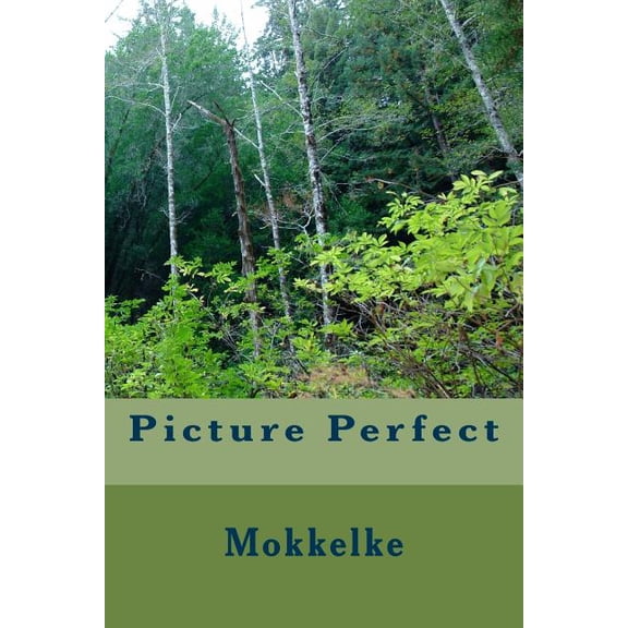 Picture Perfect (Paperback)