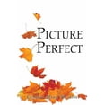 thumbnail image 1 of Picture Perfect (Paperback), 1 of 1