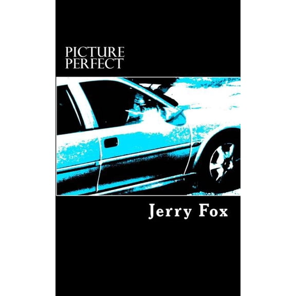 Picture Perfect: Revised Edition: A Novel (Paperback)