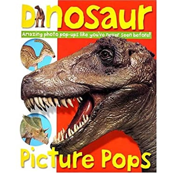 Pre-Owned Picture Pops Dinosaur (Paperback) 9780312493431