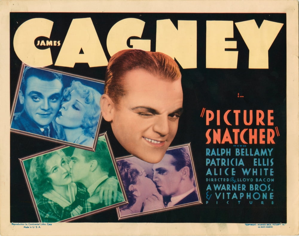Picture Snatcher Canvas Art - (28 x 22)