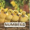 thumbnail image 1 of Pre-Owned Numbers (Board book) 0544512650 9780544512658, 1 of 1