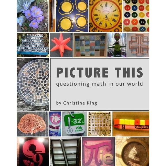 Picture This: Questioning Math in Our World, (Paperback)