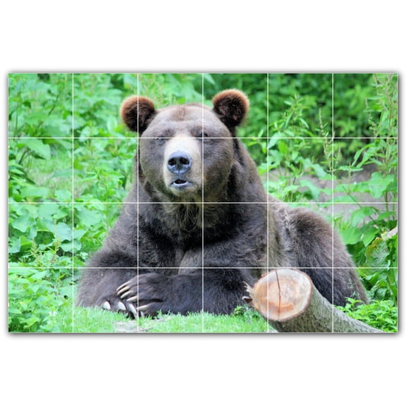 Picture-Tiles.com: Bear Ceramic Tile Wall Mural WAL500110-64M. 36"W x 24"H using (24) 6" x 6" Ceramic Tiles-Satin Finish