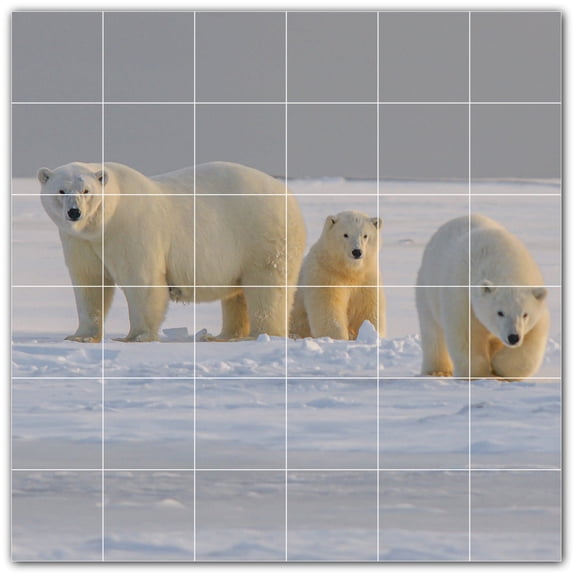 Picture-Tiles.com: Bear Ceramic Tile Wall Mural WAL500112-66L. 48"W x 48"H using (36) 8" x 8" Ceramic Tiles-Satin Finish