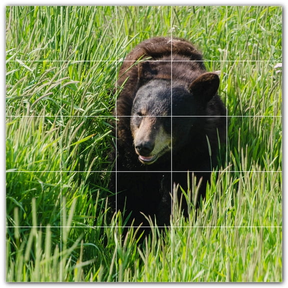 Picture-Tiles.com: Bear Ceramic Tile Wall Mural WAL500114-55M. 30"W x 30"H using (25) 6" x 6" Ceramic Tiles-Satin Finish