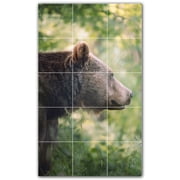 Picture-Tiles.com Bear Ceramic Tile Wall Mural WAL500116-35S. 12.75"W x 21.25"H using 15 4.25" x 4.25" Ceramic Tiles-Satin Finish