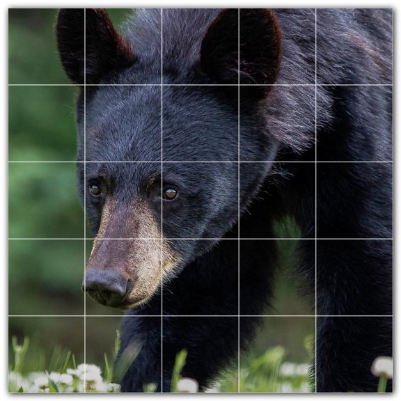 Picture-Tiles.com: Bear Ceramic Tile Wall Mural WAL500119-55L. 40"W x 40"H using (25) 8" x 8" Ceramic Tiles-Satin Finish