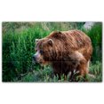 thumbnail image 1 of Picture-Tiles.com: Bear Ceramic Tile Wall Mural WAL500120-53L. 40"W x 24"H using (15) 8" x 8" Ceramic Tiles-Satin Finish, 1 of 3