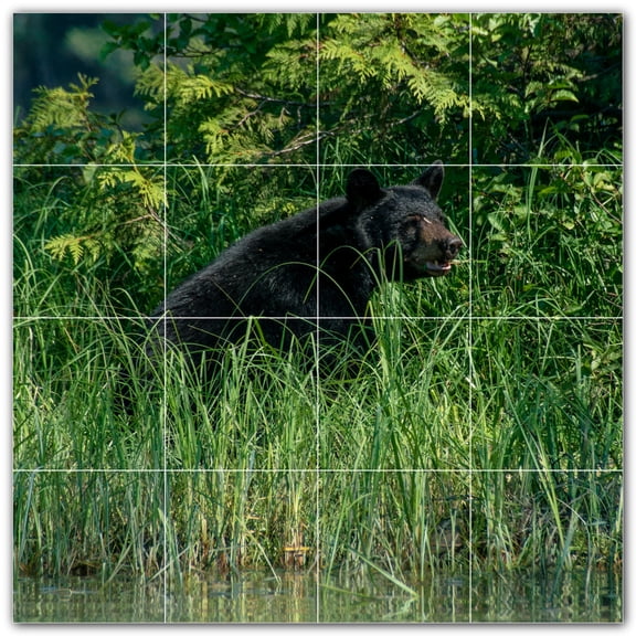 Picture-Tiles.com: Bear Ceramic Tile Wall Mural WAL500122-44S. 17"W x 17"H using (16) 4.25" x 4.25" Ceramic Tiles-Satin Finish