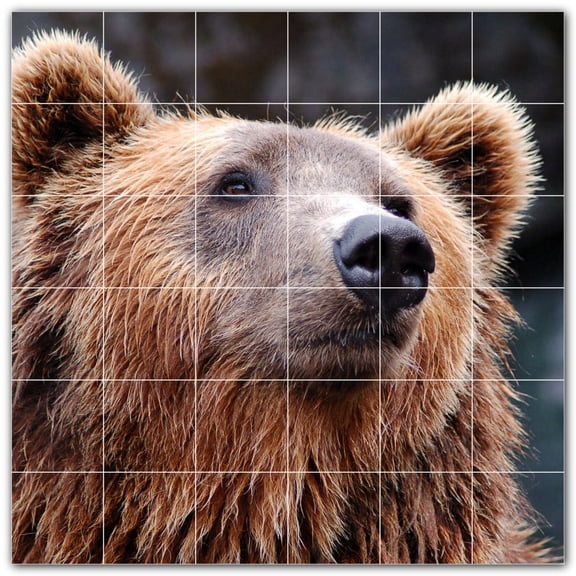 Picture-Tiles.com: Bear Ceramic Tile Wall Mural WAL500127-66M. 36"W x 36"H using (36) 6" x 6" Ceramic Tiles-Satin Finish