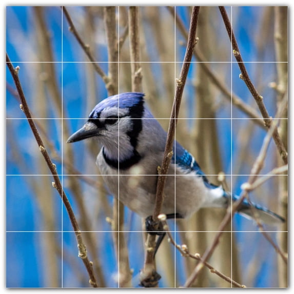 Picture-Tiles.com: Bird Ceramic Tile Wall Mural WAL500132-55L. 40"W x 40"H using (25) 8" x 8" Ceramic Tiles-Satin Finish