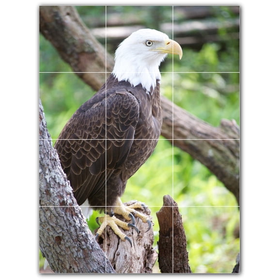 Picture-Tiles.com: Bird Ceramic Tile Wall Mural WAL500144-34L. 24"W x 32"H using (12) 8" x 8" Ceramic Tiles-Satin Finish