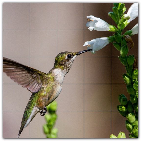 Picture-Tiles.com: Bird Ceramic Tile Wall Mural WAL500158-55M. 30"W x 30"H using (25) 6" x 6" Ceramic Tiles-Satin Finish